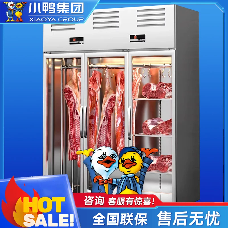 小鸭牌挂肉柜商用立式牛羊肉冷藏展示柜熟成柜单双鲜肉排酸冰柜