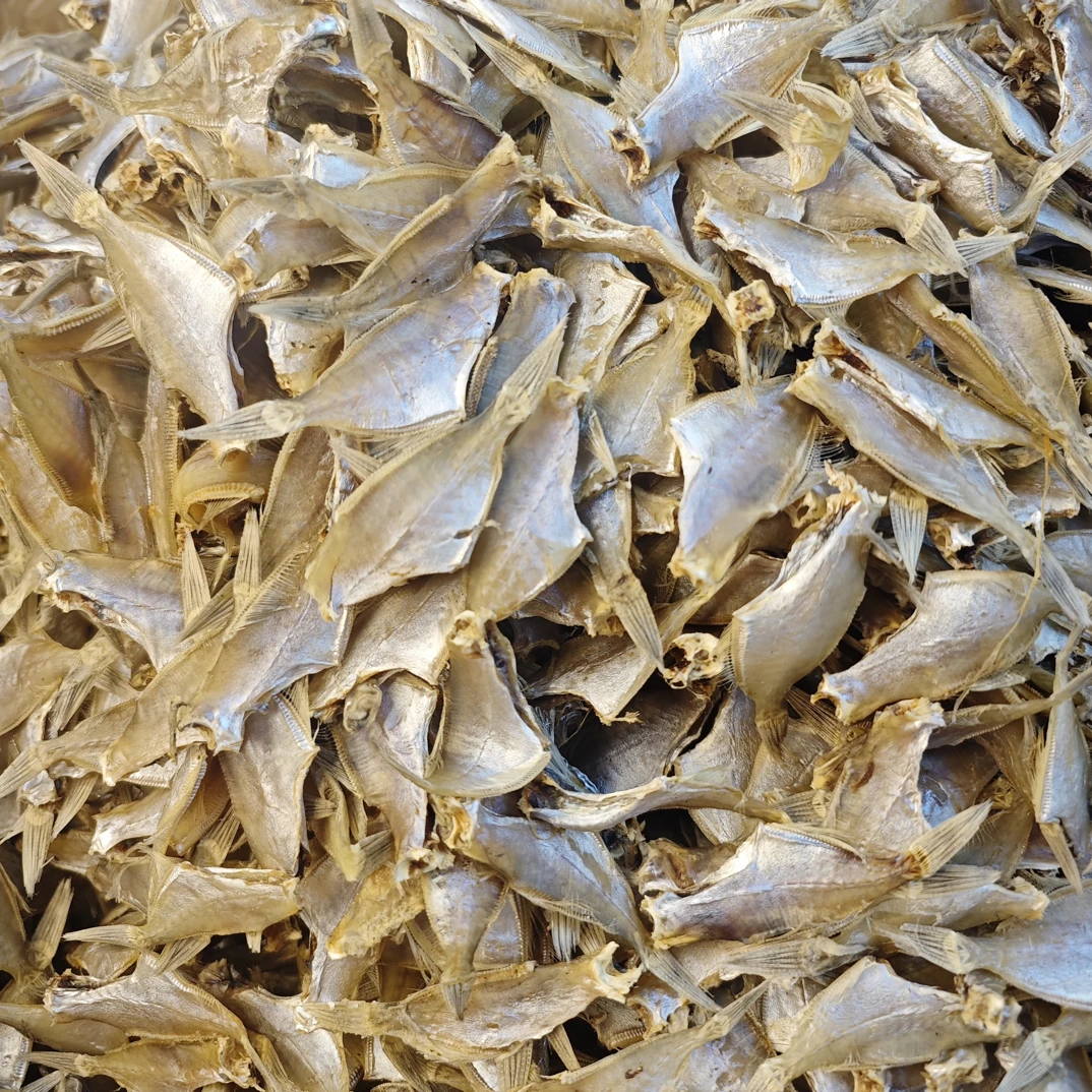 汕尾特产生晒迪仔鱼干扒皮鱼干微咸海鱼干货