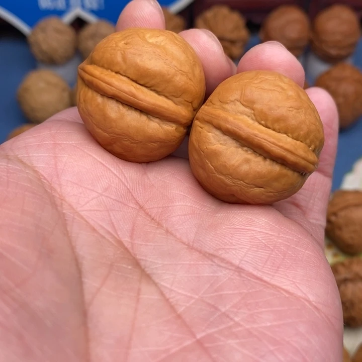 文玩核桃把件小海豚