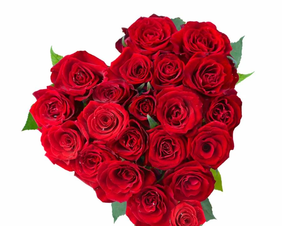 棉与自然 直播专享3