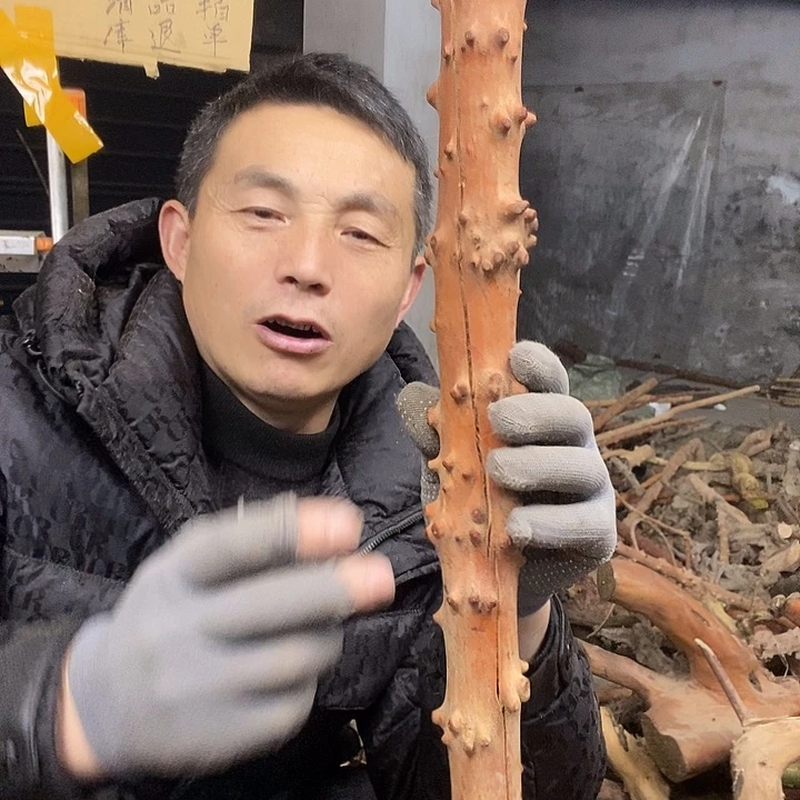 稳定木自***柴檬子木毛料半成品