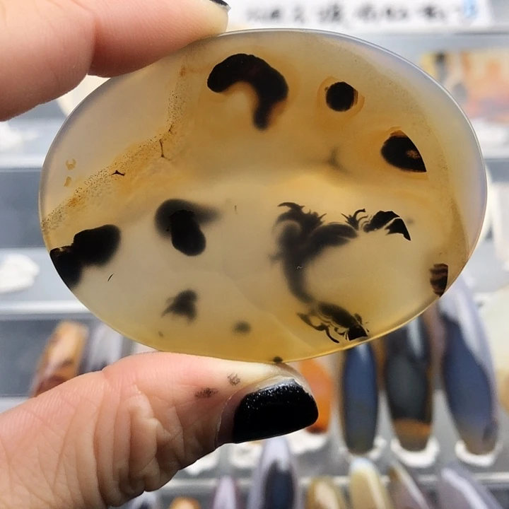 查罗石未镶嵌珠宝半成品134