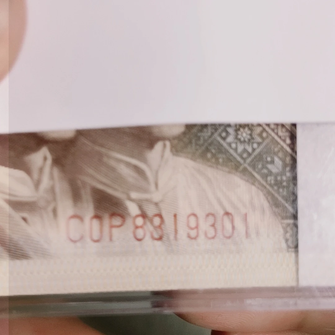 纸COP冠的8319301