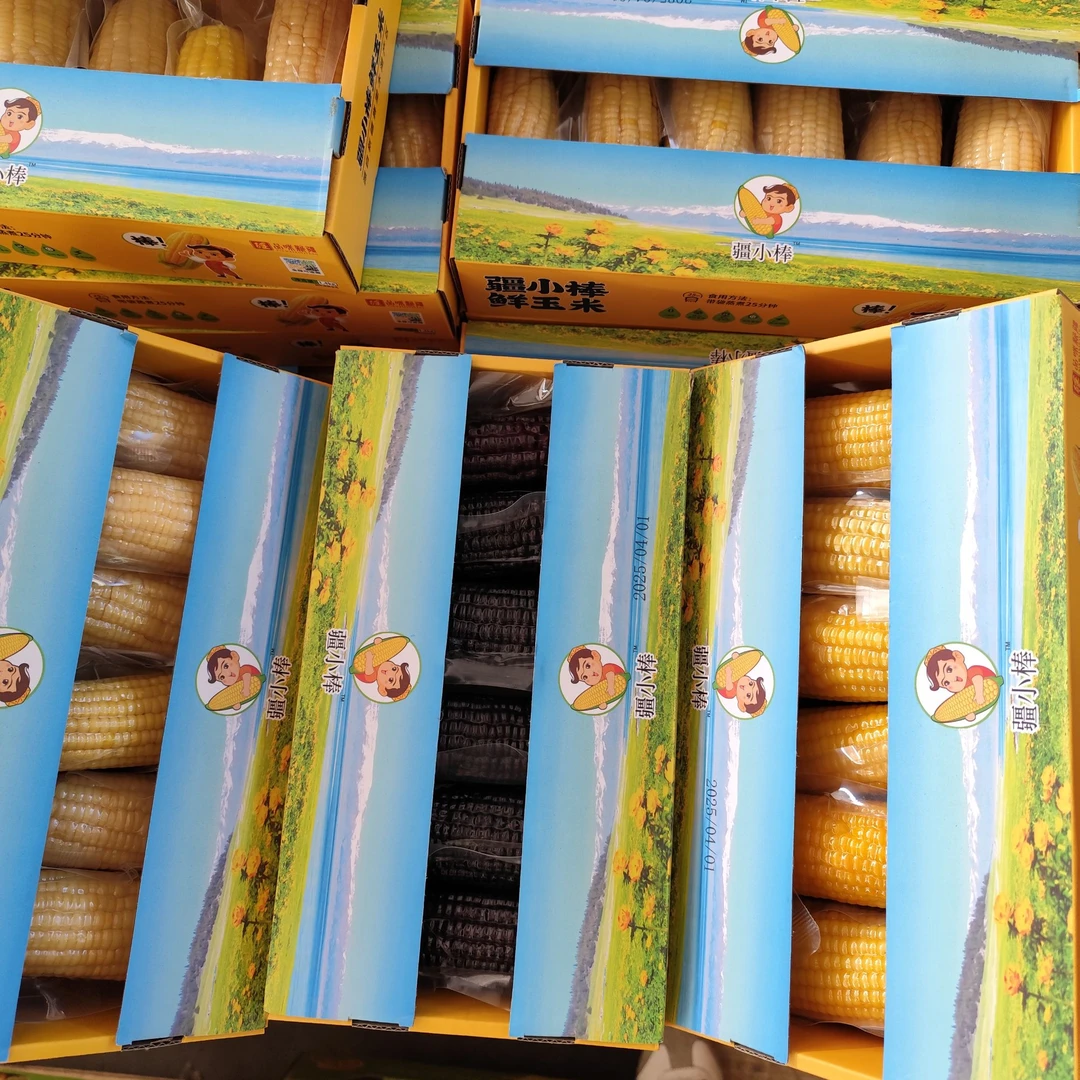 【陈氏阳光次日达】疆小棒白糯黄糯黑糯玉米6颗装净重1.4KG*1新鲜黑糯玉米新疆维吾尔自治区