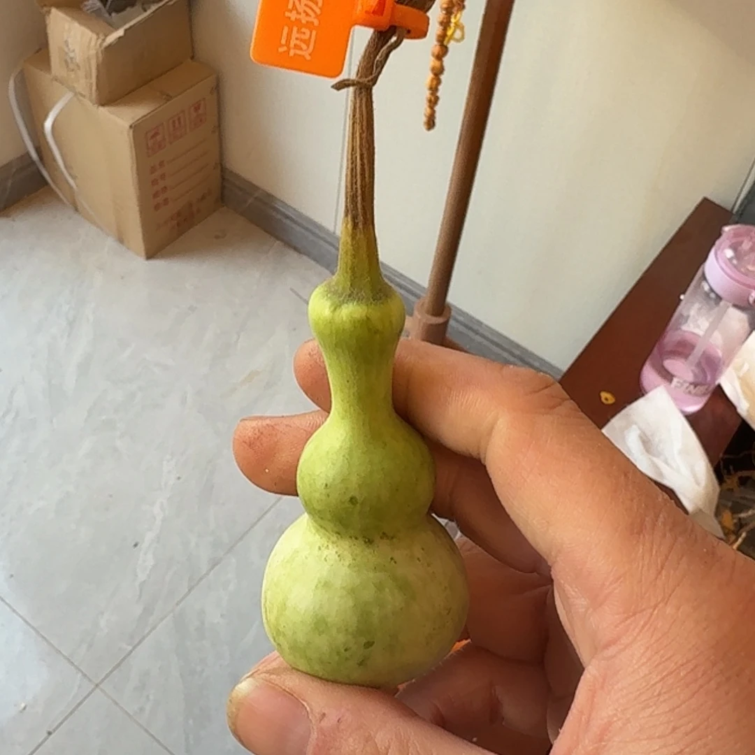 嘟***嘟木这个时候应该可以