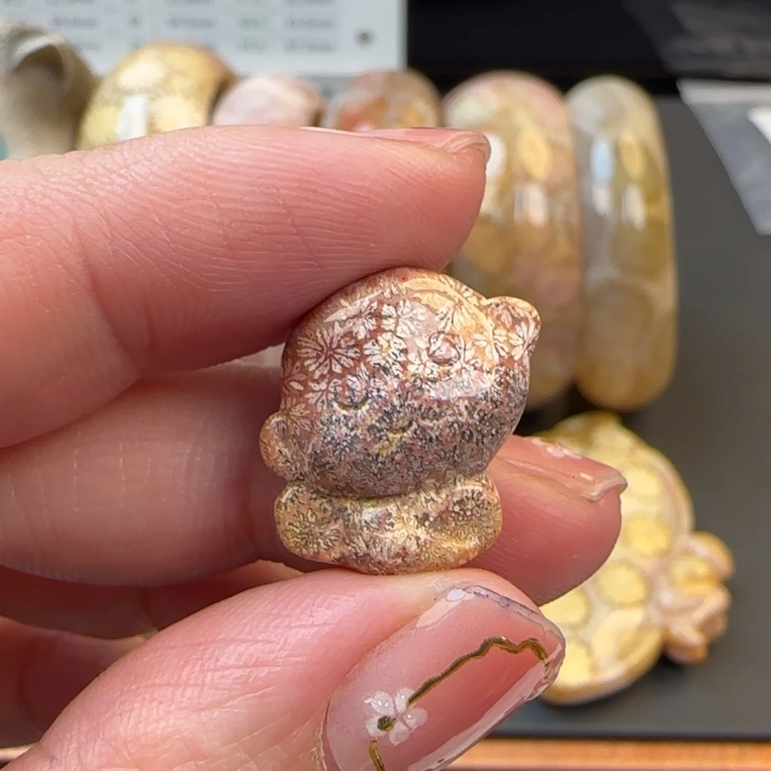 五***行硅化珊瑚（珊瑚玉）未镶嵌颈饰