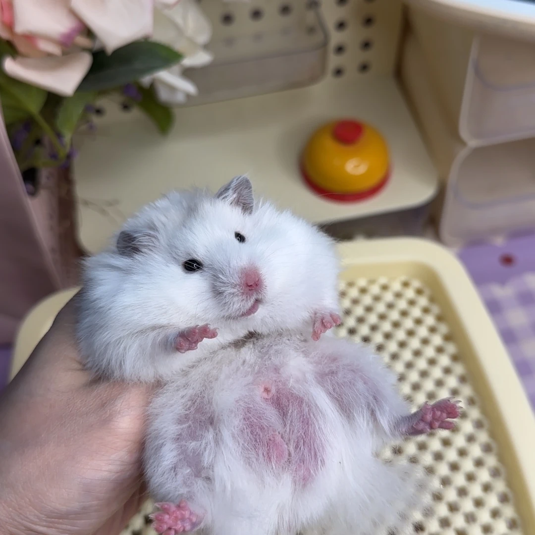 5.19生日黄波弟弟