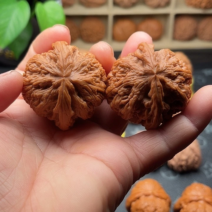 文玩核桃把件全品大粗筋边45➕