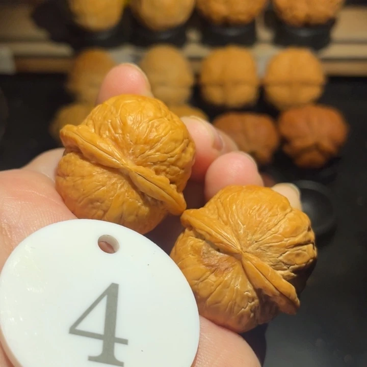 铃铛31尺寸核桃。
