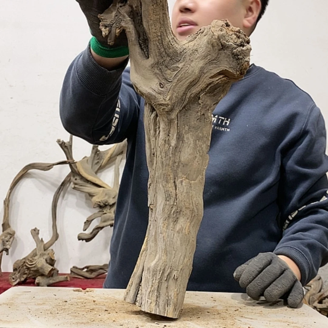 【闪购商品】柏木展****）我们都是好孩子