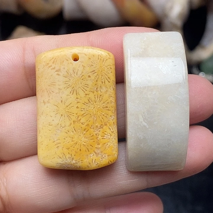 硅化玉未镶嵌颈饰