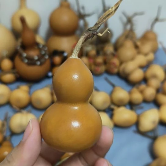 无暇纯天然葫芦直播间专用链接