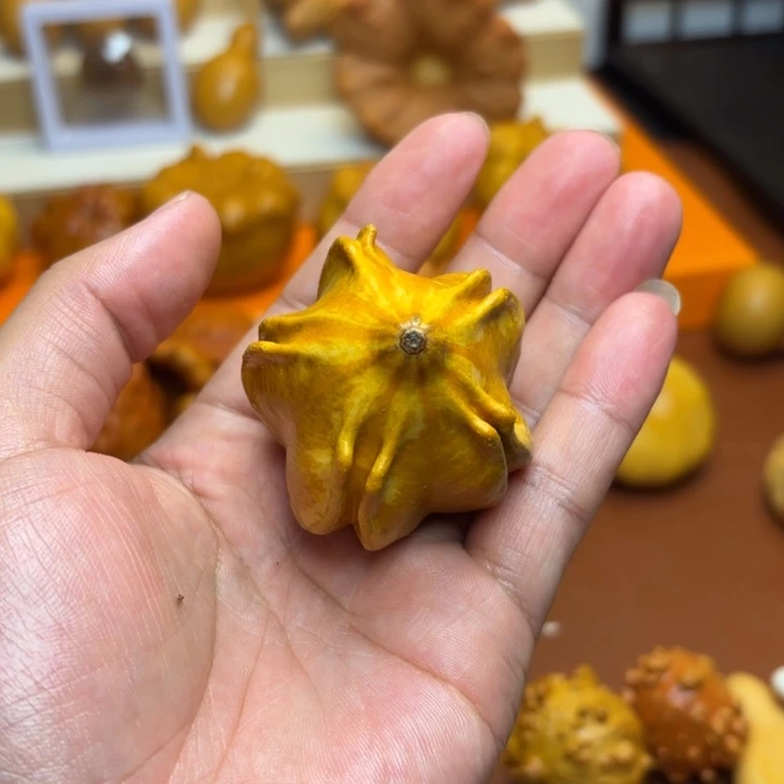 特价特价福利不退不换