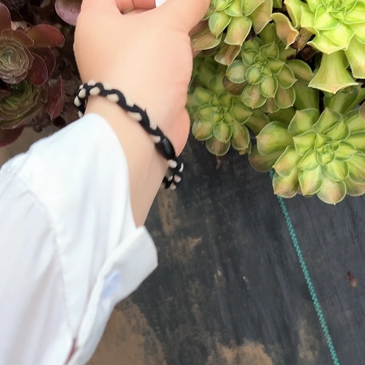 淋***尽多肉植物一物一拍71号