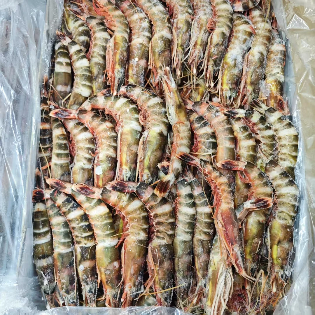 【上街弟海鲜】船冻九节虾 肉质鲜甜  保鲜发货介意包冰勿拍