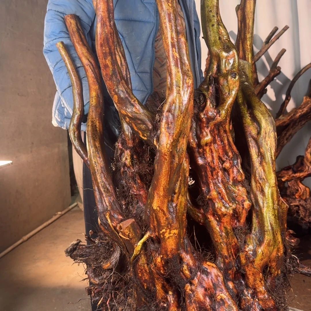 爱***姐88888888888888888