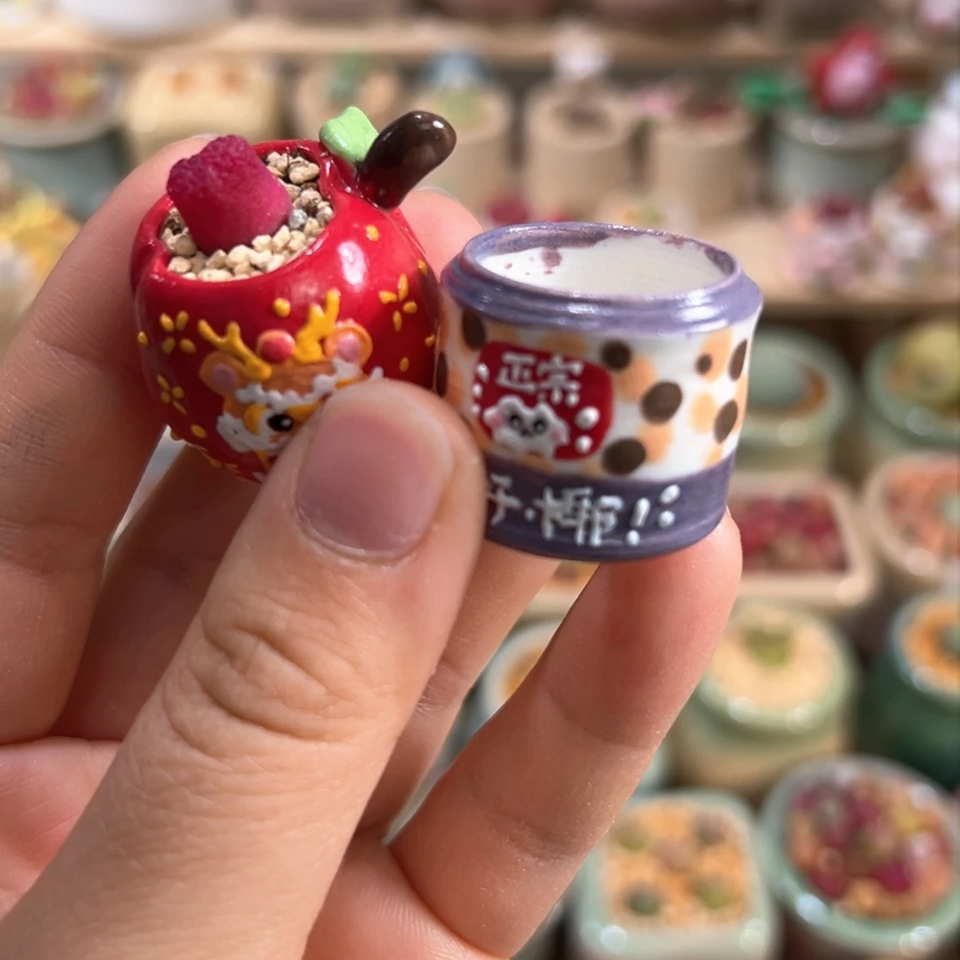 凝*多肉植物16号一起