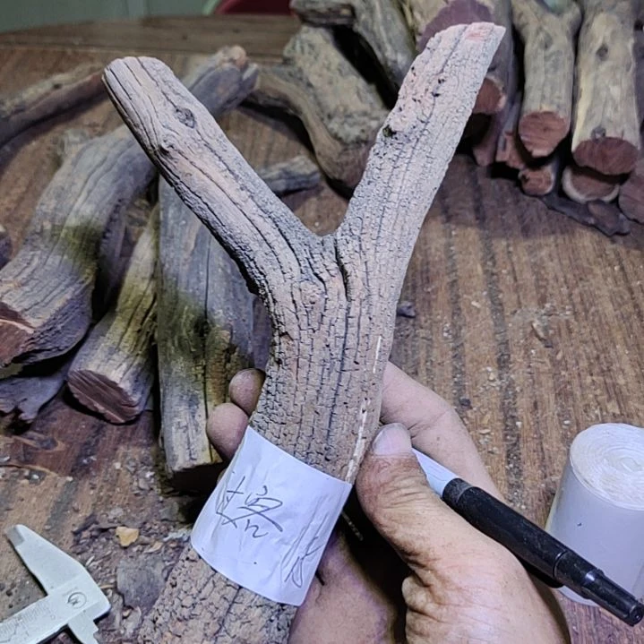 过***客火琉璃原杈不保沉水慎拍！