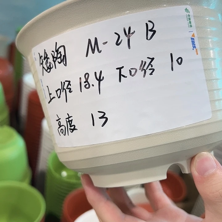 正品矮陶口18高13米色带托10只