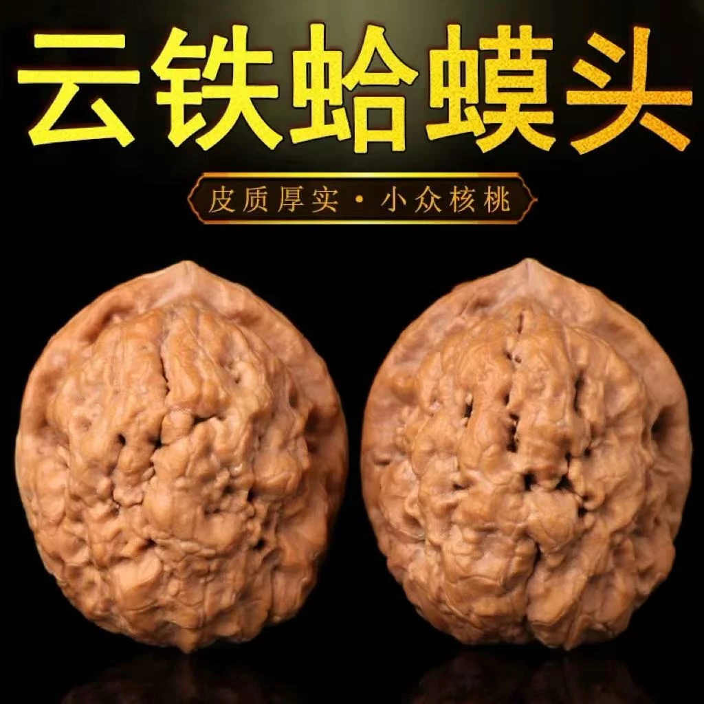 松哥文玩宠粉精品金蟾陨铁文玩核桃把玩展示（001）