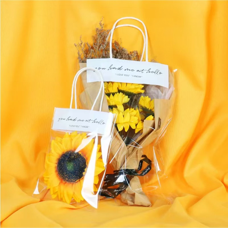 【班班精选】手提袋礼品袋透明手提袋精美包装袋