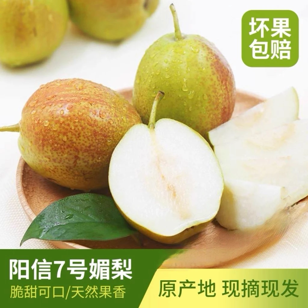 【于甄鲜】头茬阳信媚梨梨纯甜无渣4.5-5斤装脆甜多汁产地直发