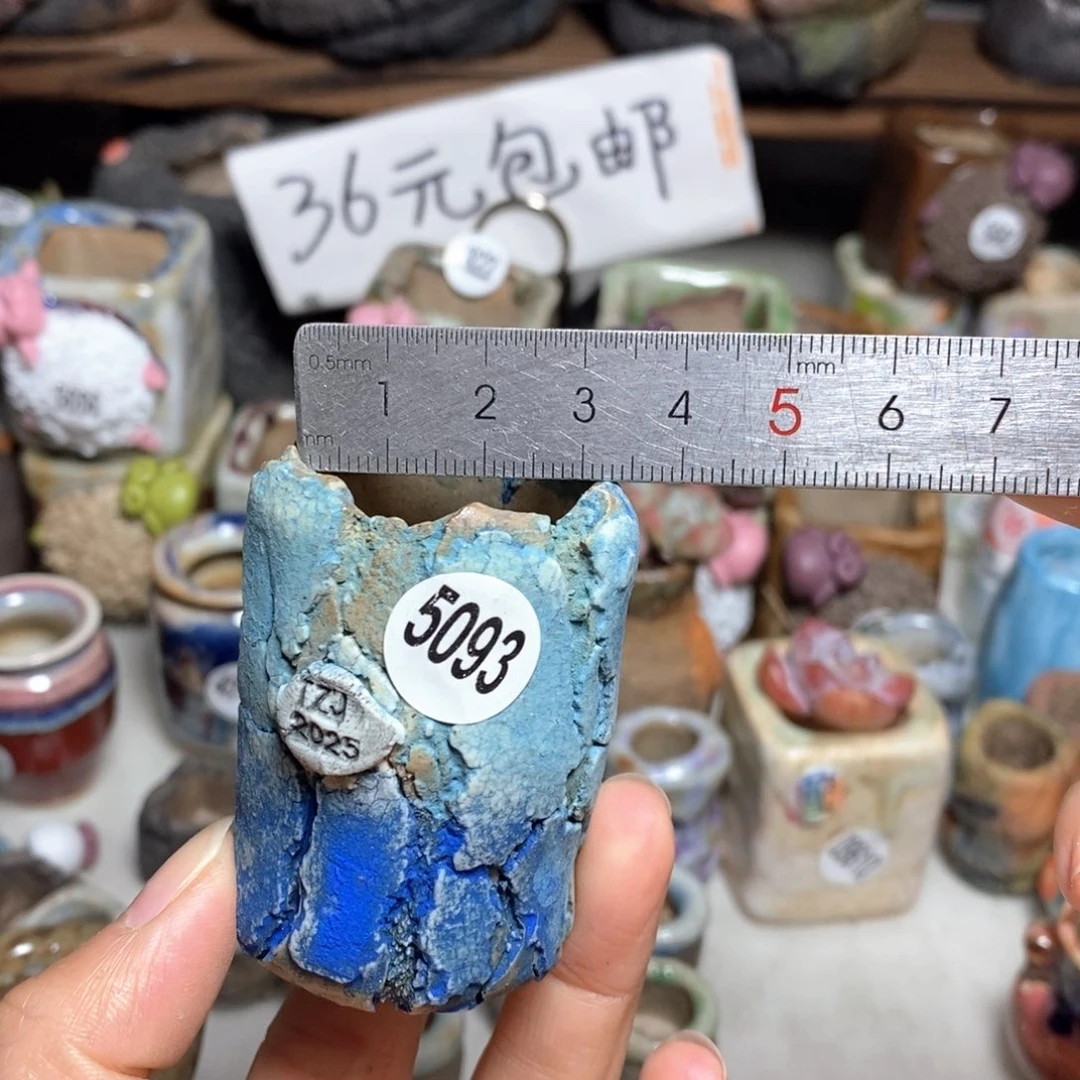 拍3送一个小礼物