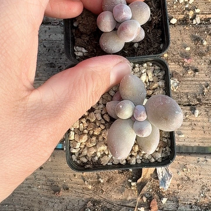 崇*?z n d j d h d j d k d k 327