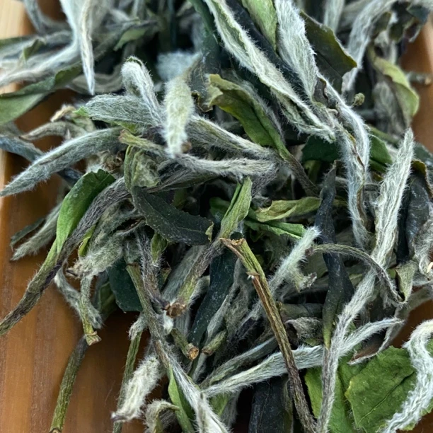 （制茶人蔡佳亮）2024年古树牡丹