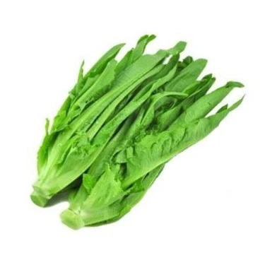 (特价)油麦菜200g油麦菜