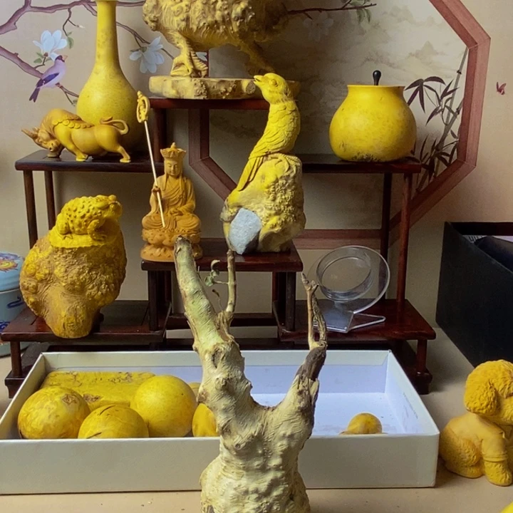 m***a黄杨木等多种树木