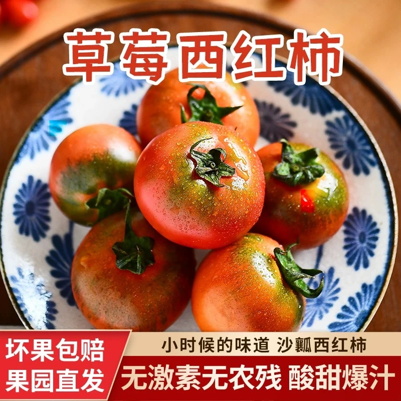 顺丰4-4.5斤 碱地草莓西红柿 铁皮西红柿 不升糖 酸酸甜甜 生吃高端番茄 辽宁省