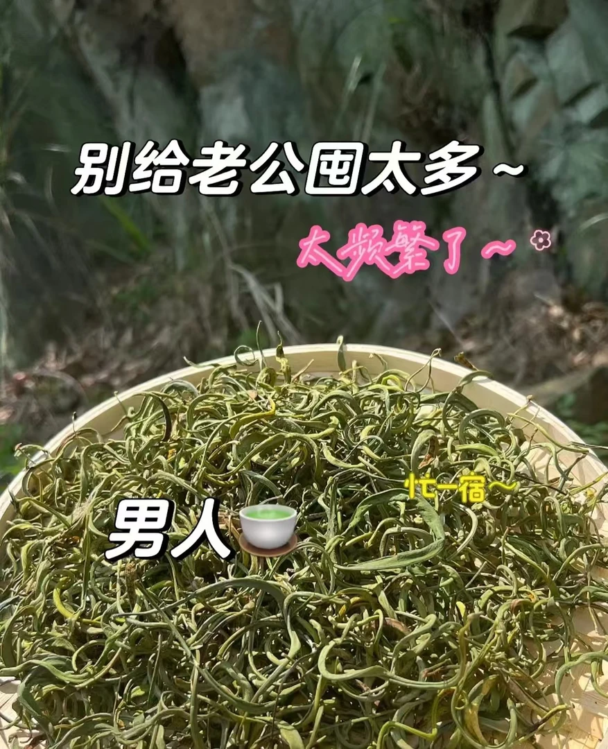 张正带你逛中原早市 -【黄金草】