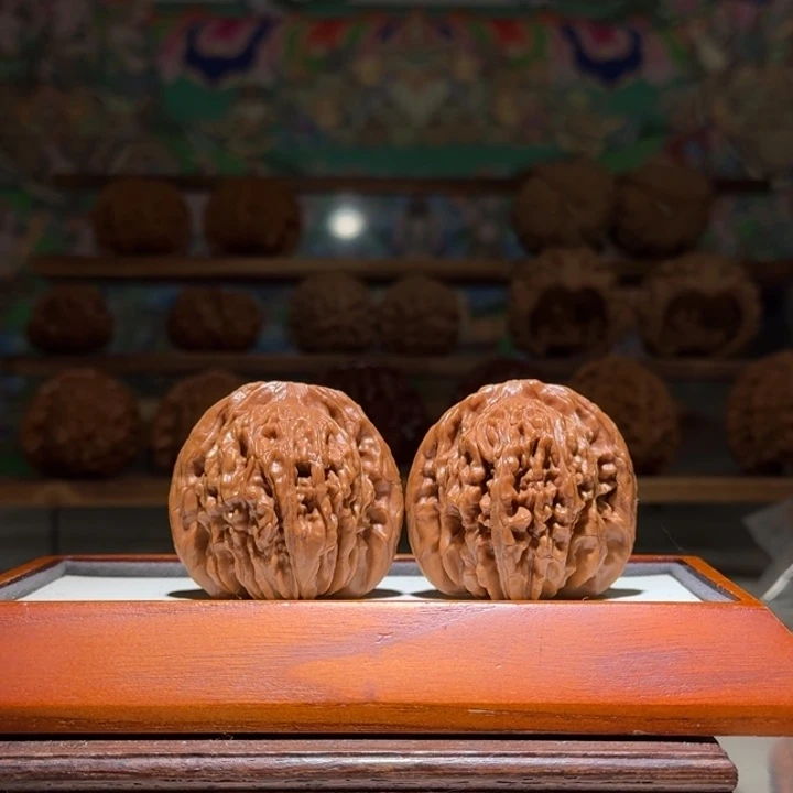 43四座楼精品对红皮