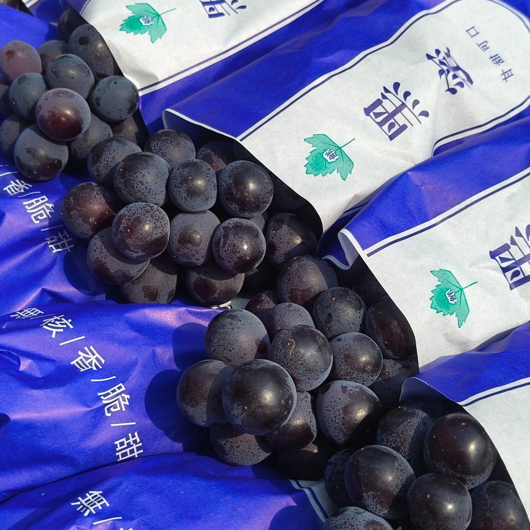 【鲜果速送】夏黑葡萄一串1.4-1.6斤左右（送货颠簸难免掉粒介意慎拍）云南省