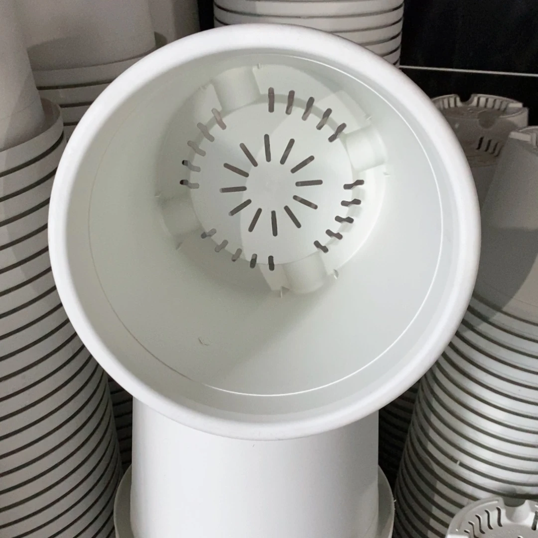 6个29口奶白无托（29×25）伊特