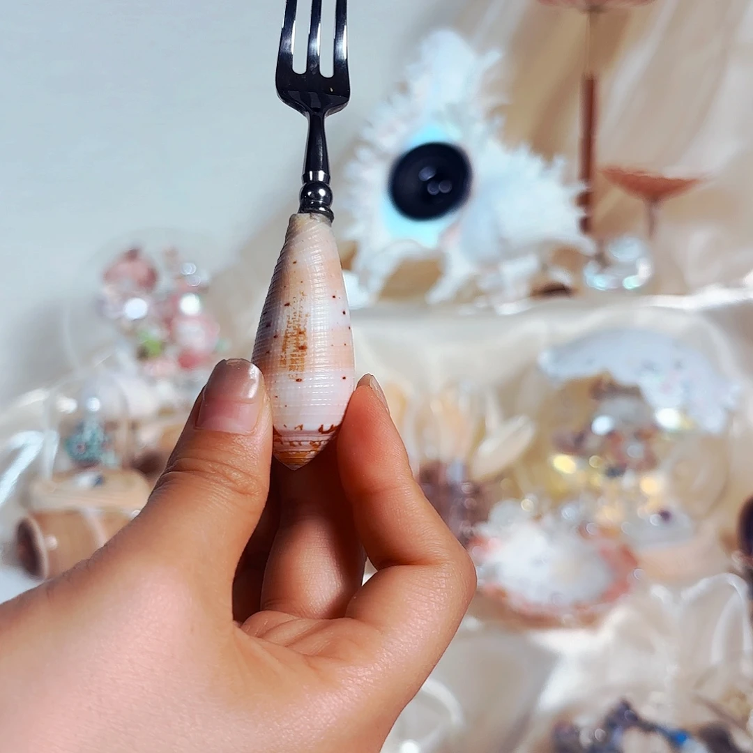 贝壳手串/手链贝壳叉子