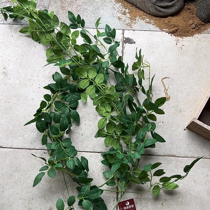 拍品大福利大福利
