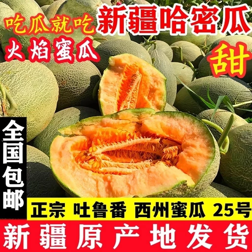 【京东顺丰】新疆哈密瓜正宗西州蜜25号吐鲁番火焰山哈密瓜新鲜现摘