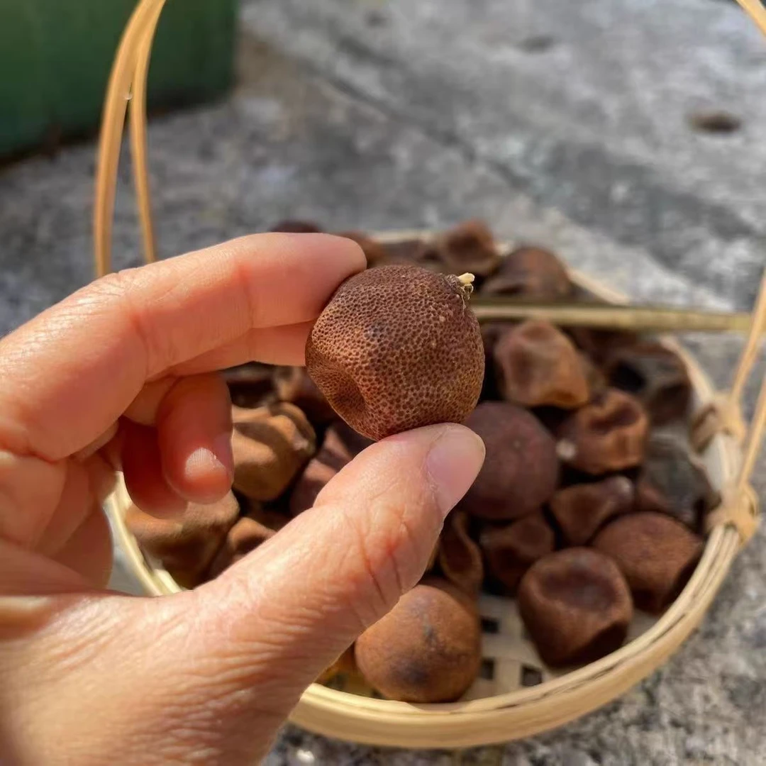 盘龙金果 【杰选陈皮果】生晒 柑宝 250g 拍一发六到手3斤