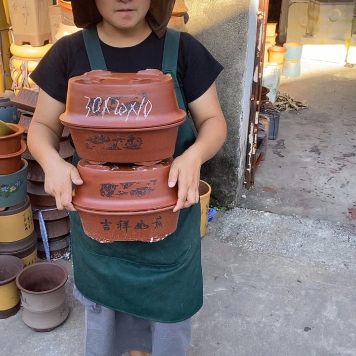 紫砂花盆盆栽花卉苗木种植