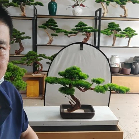 净***缘仿真迎客松盆景一物一拍高38厘米