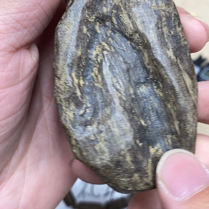 沉香沉香香囊虫漏