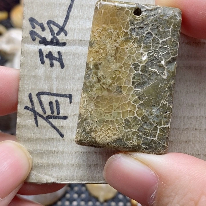 硅化珊瑚（珊瑚玉）颈饰未镶嵌莲*