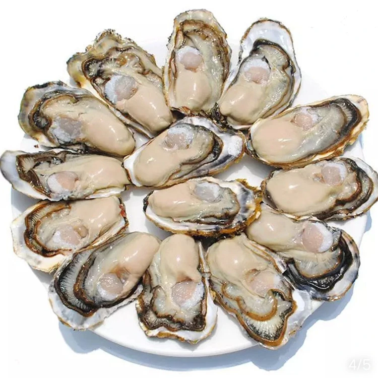 5~6两生蚝45元10斤