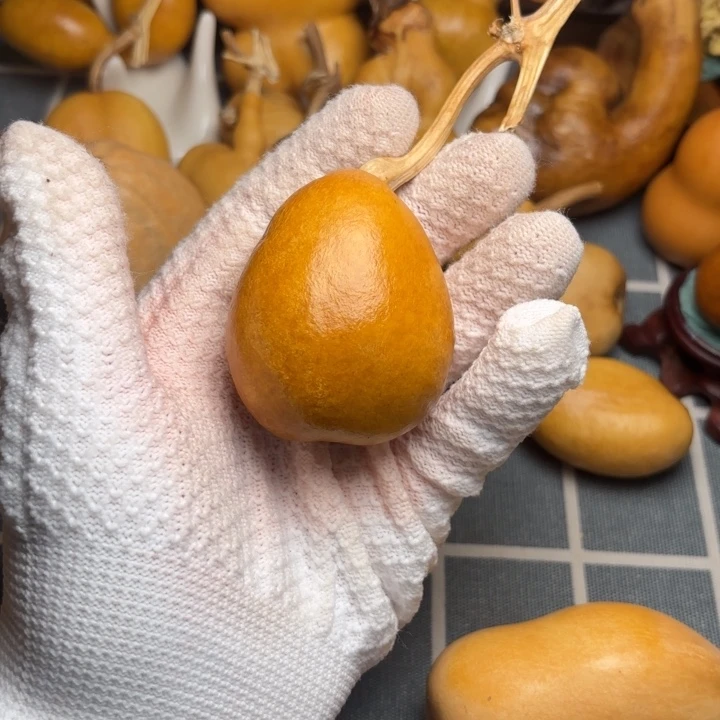 若***ｯ坑葫芦6666666666666