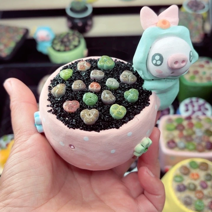 2019零下地区记得拍保温箱