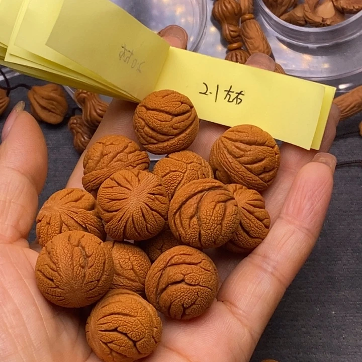 秦岭龙纹桃核13颗