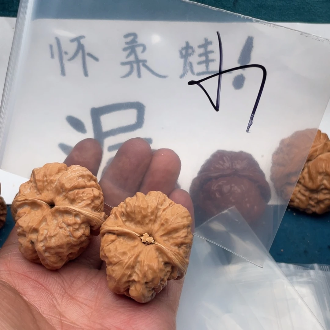 核桃753753753735375573375