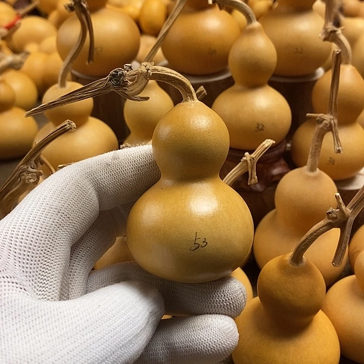 文玩葫芦 完美主义者 慎拍53